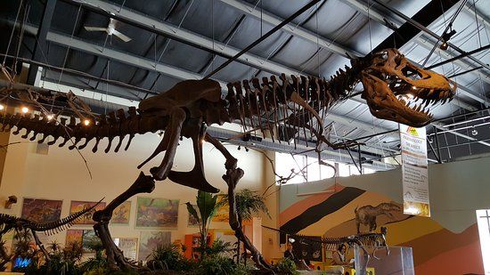 Rocky Mountain Dinosaur Resource Center